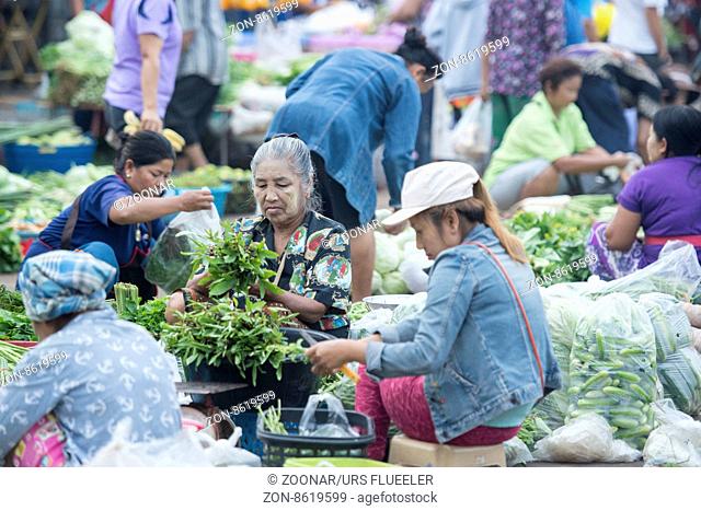 the fegetable market in the Village of Thong Pha Phum north of the City of Kanchanaburi in Central Thailand in Southeastasia