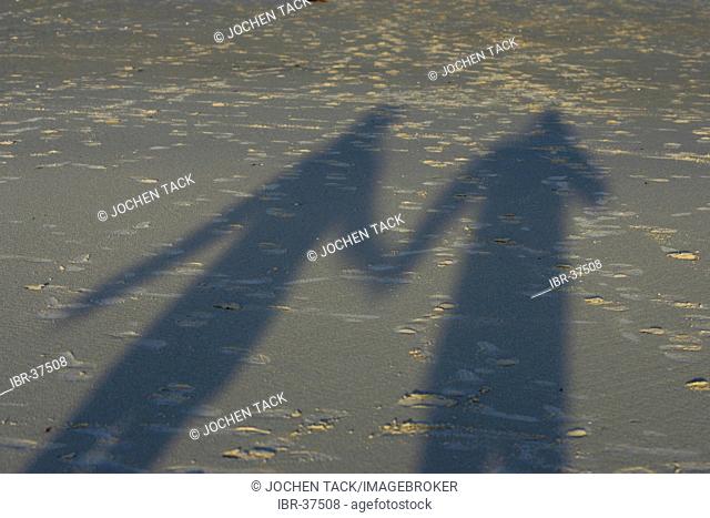 DEU, Germany, Amrum : Northsea island Amrum. Shadow of a couple at the beach