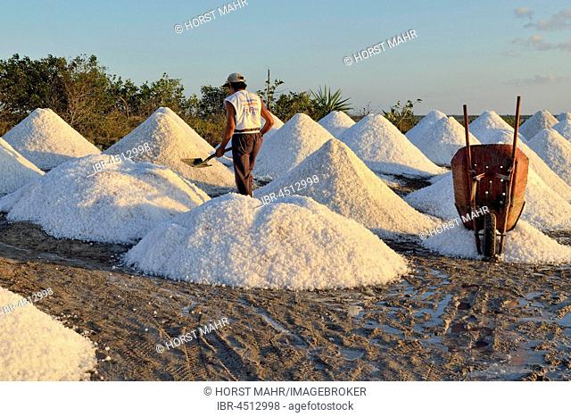 Worker between salt cones, raw salt production, saline at El Cujo, Yukatan, Mexico