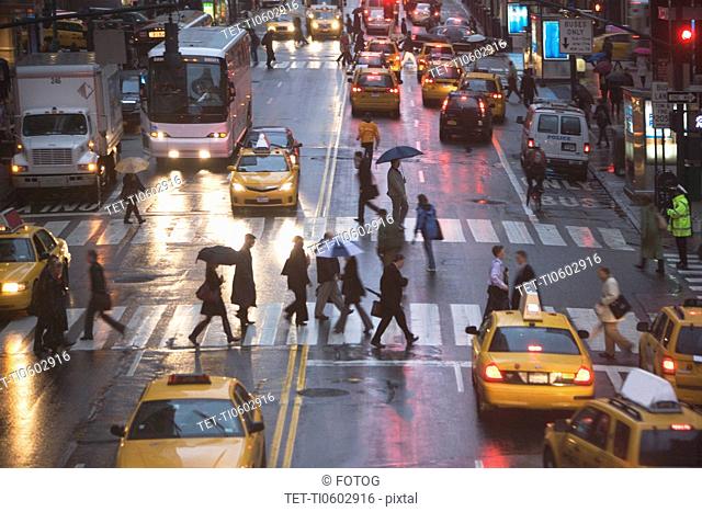 USA, New York state, New York city, pedestrians on zebra crossing