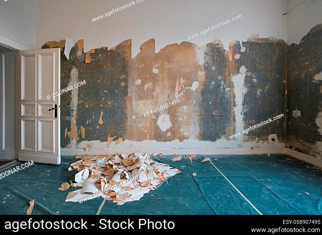 removing wallpaper from wall in room during flat renovation -
