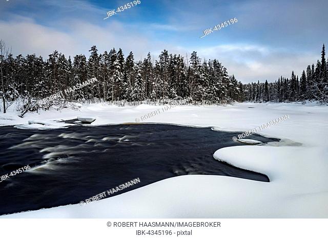 Winter landscape by Oulankajoki river, Oulanka National Park, Lapland, Finland