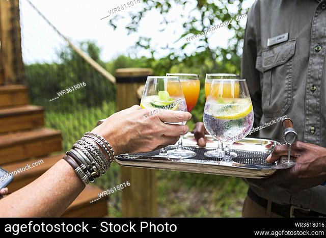 close up of colorful drinks, tented camp, Botswana