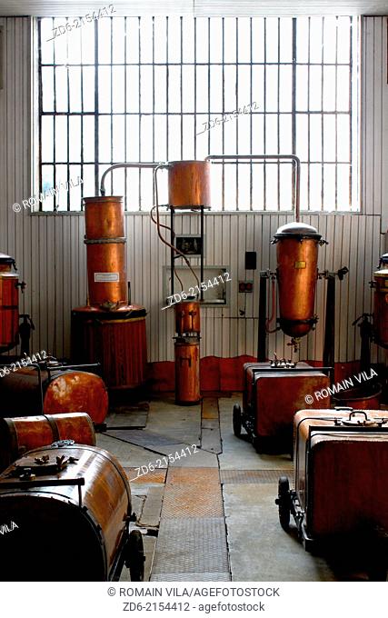 Stills at the distillery Cherry Rocher, La Côte-Saint-André, Isère, Rhône-Alpes, France, Europe
