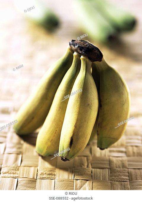 yellow frecinette baby bananas