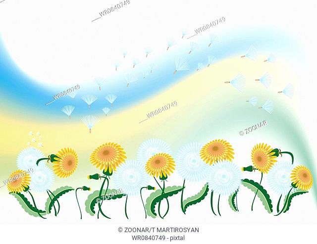 Abstract delicate background with dandelion