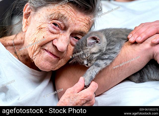 Senior woman tenderness, kisses cute gray Scottish Straight kitten on couch at nursing home with volunteer. Kitty therapy