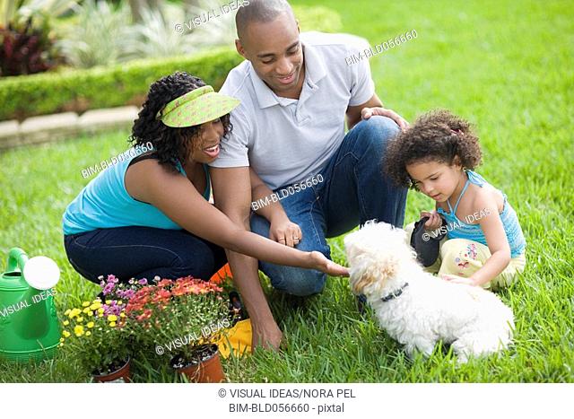 African family petting dog