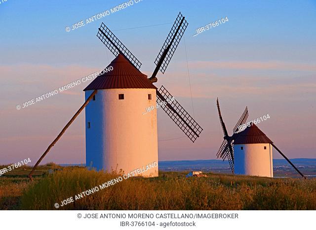 Windmills, Route of Don Quixote, Mota del Cuervo, Castile-La Mancha, Spain