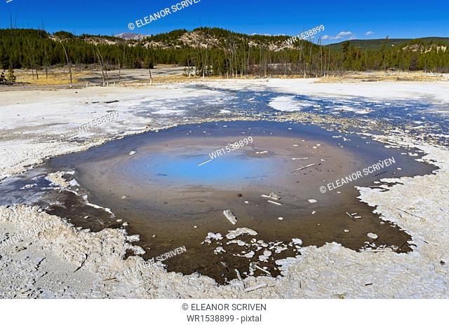 Back Basin, Norris Geyser Basin, Yellowstone National Park, UNESCO World Heritage Site, Wyoming, United States of America, North America