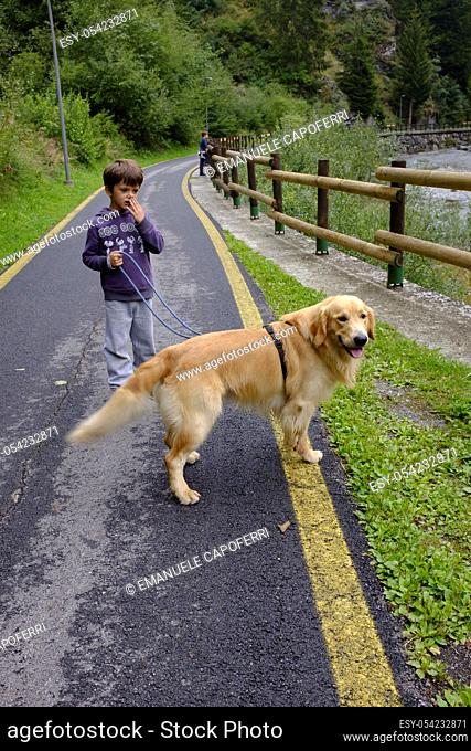 Child walking with dog on the bike path in the mountains, Valdidentro, Lombardy, Italy