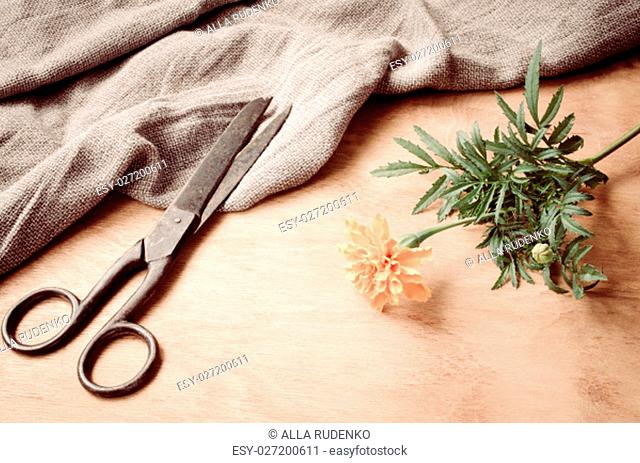 Old vintage scissors, flower and a burlap on wooden background, selective focus, rustic style