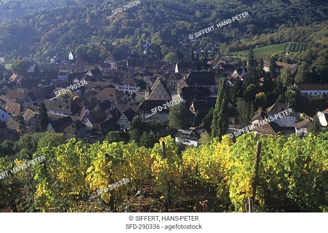 View of Andlau, noted wine village in Alsace, France