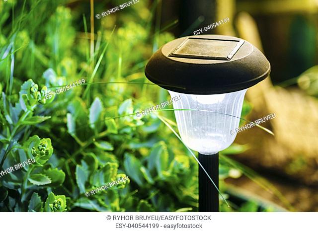 Beautiful Small Solar Garden Light, Lanterns In Flower Bed. Garden Design. Solar Powered Lamp