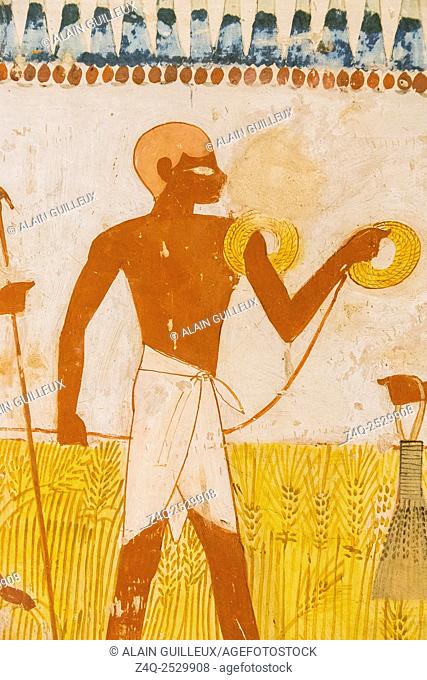 UNESCO World Heritage, Thebes in Egypt, Valley of the Nobles, tomb of Menna. Agricultural scene, surveying fields with a rope
