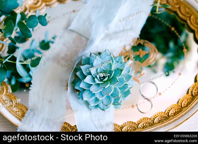 Wedding rings of the bride and groom on a tray and an engagement ring on an echeveria flower on a blurred background. High quality photo
