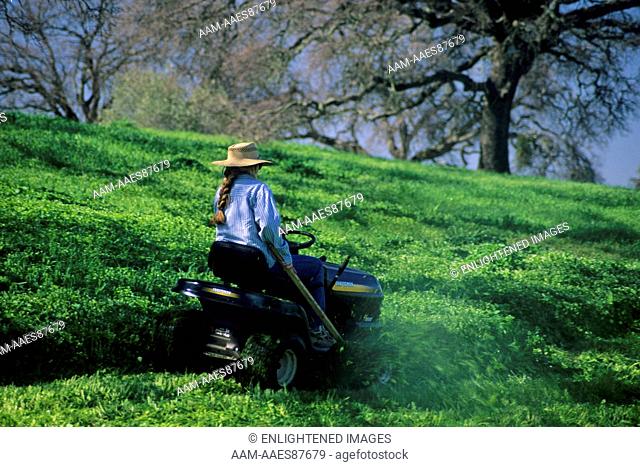 Woman on Lawn Tractor near Amador City, Sierra Foothills, Amador County, California