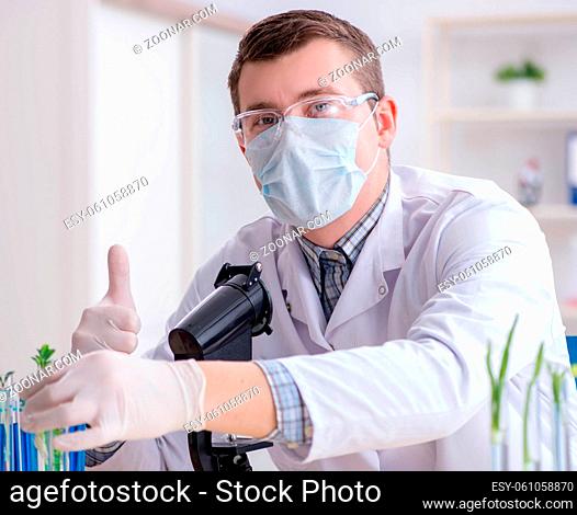 The male biochemist working in the lab on plants
