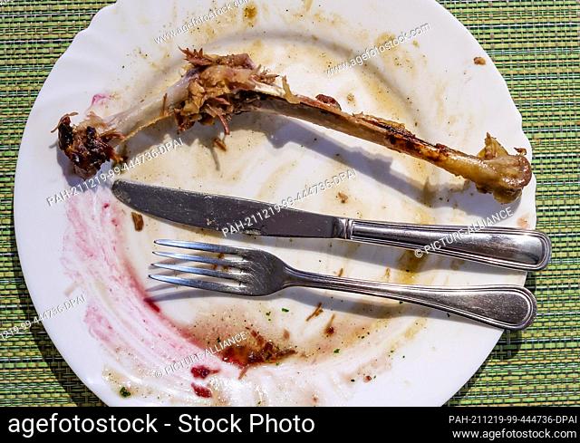 13 December 2021, Saxony, Wermsdorf: An empty plate with the bones of a goose leg and patches of red cabbage and dumplings stands on a table in the restaurant...