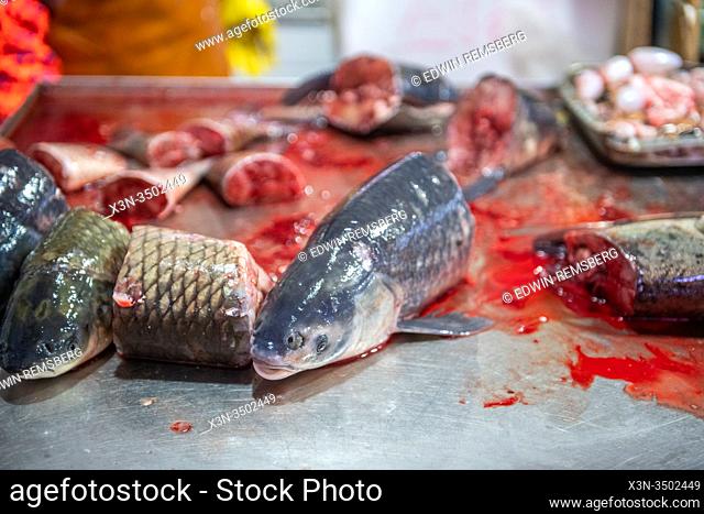 Freshly cut fish heads in a seafood market , Shanghai, China