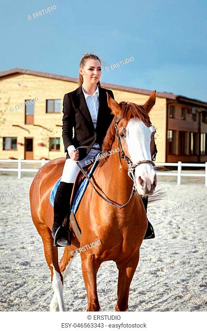 Rider elegant woman riding her horse outside. jockey and brown horse
