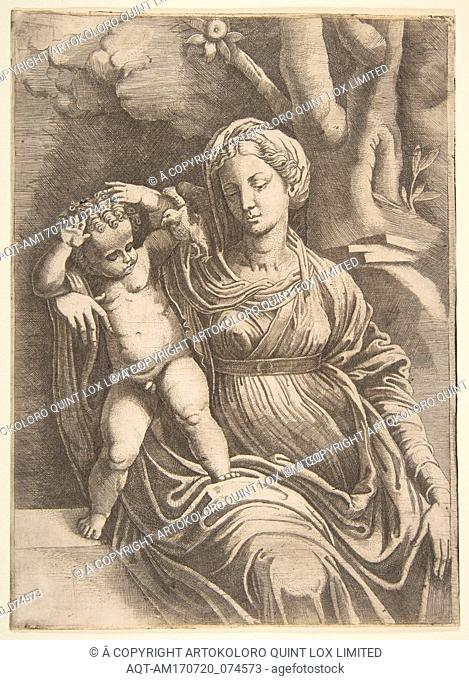 Virgin and Child seated beneath a tree, ca. 1560, Engraving, sheet: 11 7/16 x 8 3/8 in. (29.1 x 21.2 cm), Prints, Giulio Bonasone (Italian