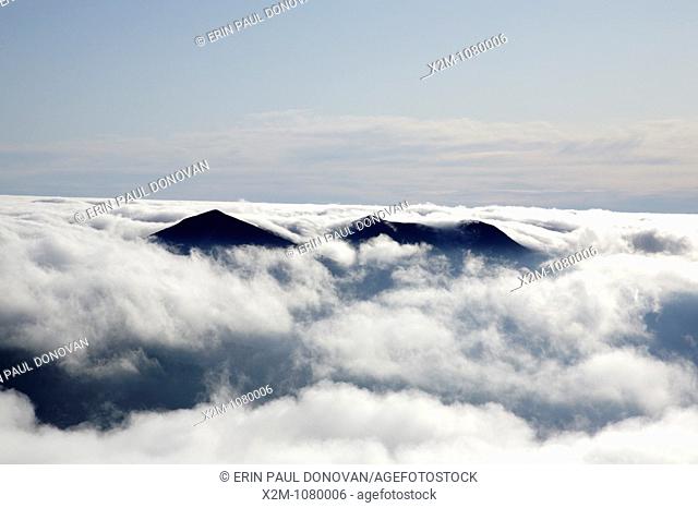 Undercast from the summit of Mount Osceola in the White Mountains, New Hampshire USA