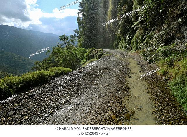 Death road, Camino de la Muerte, Yungas road between La Paz and Coroico, Bolivia