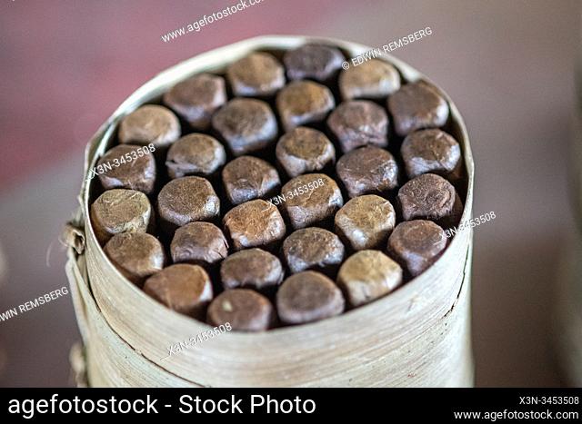 Freshly rolled cigars bound together in a neat arrangement , Vinales, Cuba
