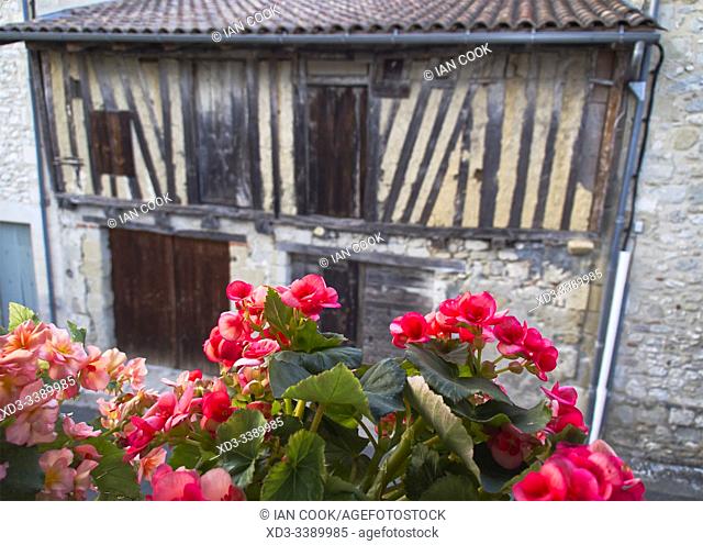 flowers in window box, Lauzun, Lot-et-Garonne Department, Nouvelle Aquitaine, France