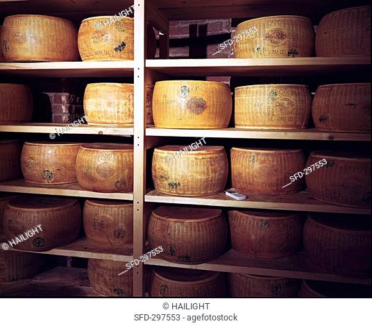 Parmesan cheeses in a cheese store, Parma, Italy