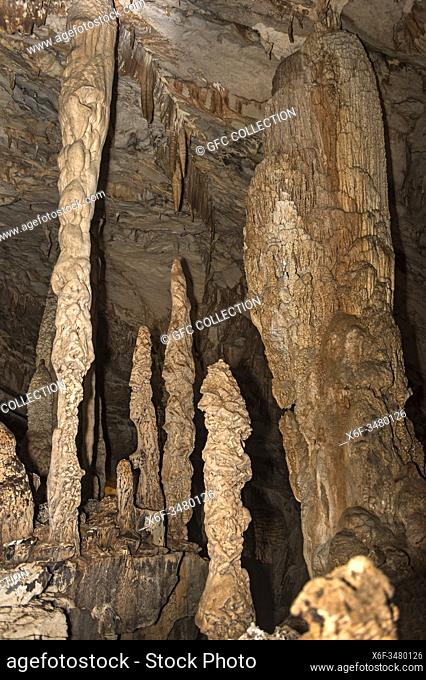 Stalagmites, stalactites and stalagnates, drip stone columns in the King chamber of the Wind Cave, Gunung Mulu Nationalpark, Sarawak, Borneo, Malaysia