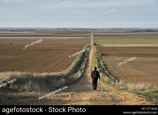 A hiker walks away towards the horizon by th the road to Santiago del Sureste, as it passes through the province of Valladolid. Castile and Leon