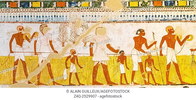 UNESCO World Heritage, Thebes in Egypt, Valley of the Nobles, tomb of Menna. Agricultural scene, surveying fields with a rope