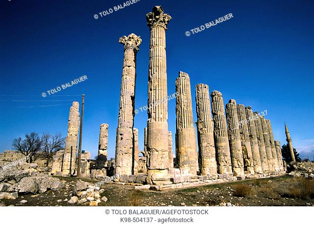 Temple of Zeus Olbius (300 a.C.). Uzuncaburç (Diocesarea). Silifke. Eastern mediterranean sea. Turkey