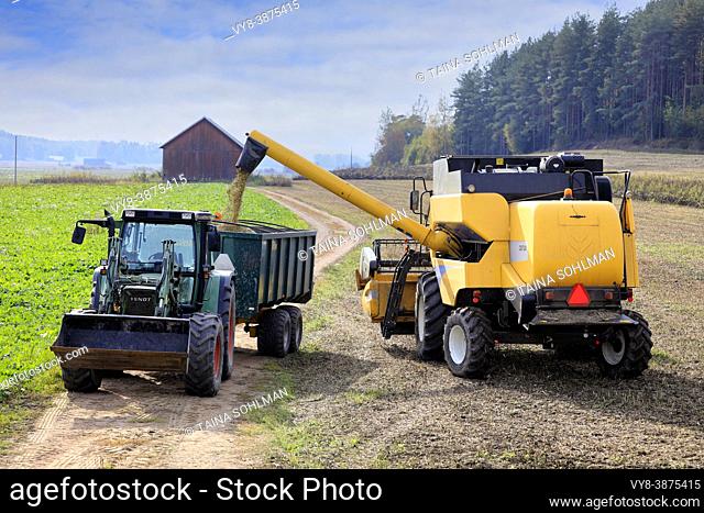 New Holland CSX7040 combine unloads harvested broad bean onto Fendt tractor trailer on a beautiful day of autumn. Sauvo, Finland. September 26, 2020