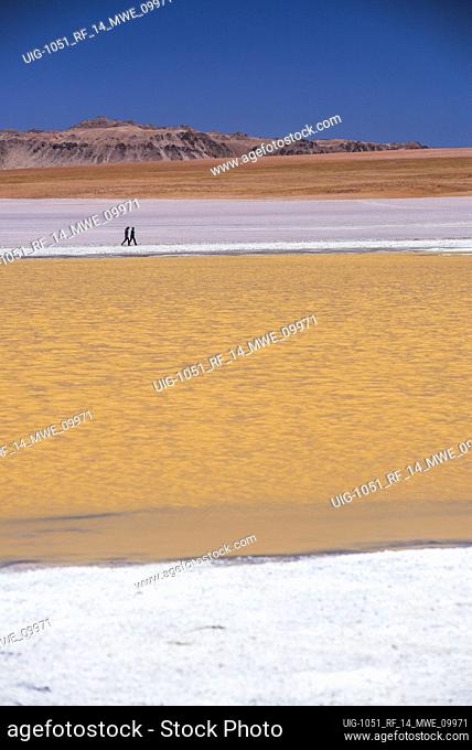 Tourists at Laguna Hedionda, a salt lake area in the Altiplano of Bolivia