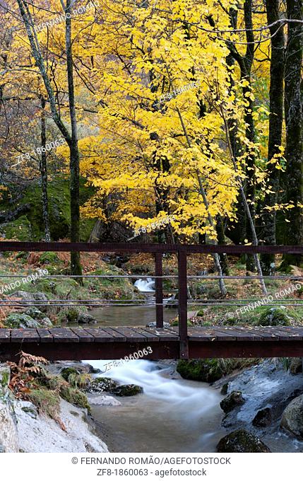 Stream at Estrela Mountain Natural Park, Portugal