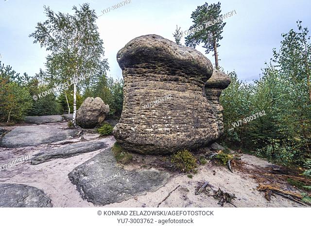 Stone Mushrooms rock formation in Broumovske steny (Broumov Walls) mountain range and nature reserve, part of Table Mountains in Czech Republic
