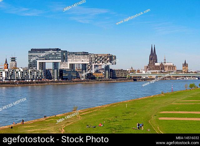 Rhine meadows with crane houses and cathedral, Cologne, Rhine, North Rhine-Westphalia, Germany
