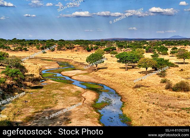 Landscape in Tarangire National Park, Tanzania, Africa