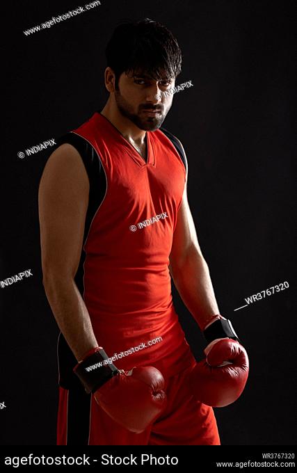 A SERIOUS BOXER STANDING IN FRONT OF CAMERA