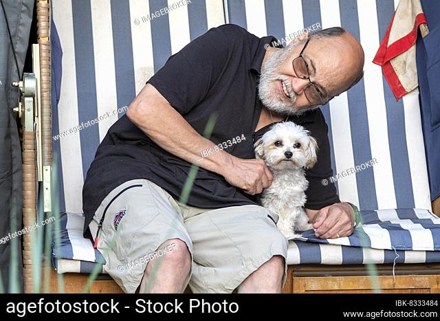 Elderly gentleman posing with Bolonka Zwetna dog in beach chair, Reppenstedt, Lower Saxony, Germany, Europe
