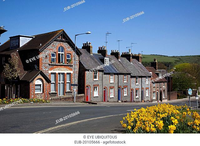 Row of terraced houses in Little East Street with daffodils in the foreground