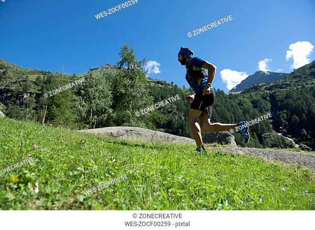 Italy, Alagna, trail runner on the move near Monte Rosa mountain massif