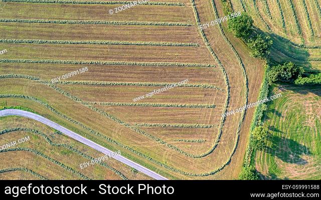 Aerial view geometric farming fields, showing a green meadow and plowed fields, captured with a drone. High quality photo