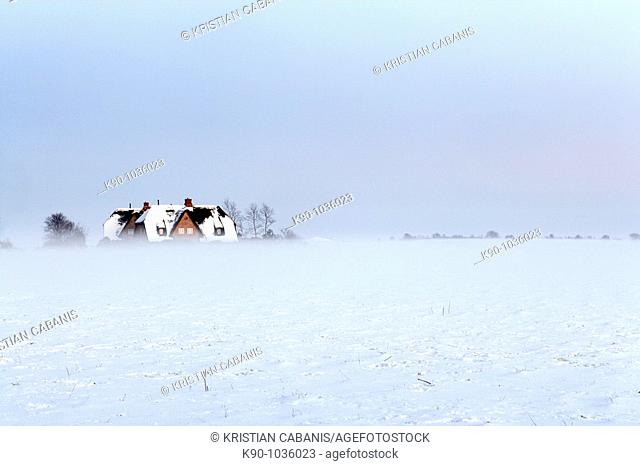 Snow covered field, with fog coming up from the surface and traditional frisian houses with red bricks at the horizon, Sylt Island, North Frisian