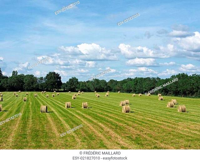 Hay Bale Landscape