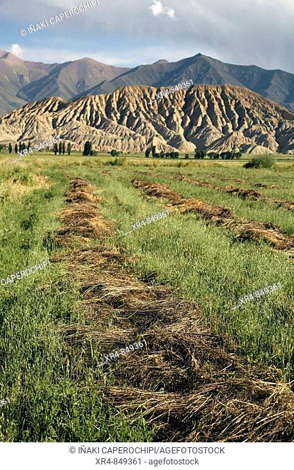 Landscape, Kochkor district, Kyrgyzstan