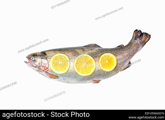 View above the whole big a salmon fish with lemon slices isolated on a white background